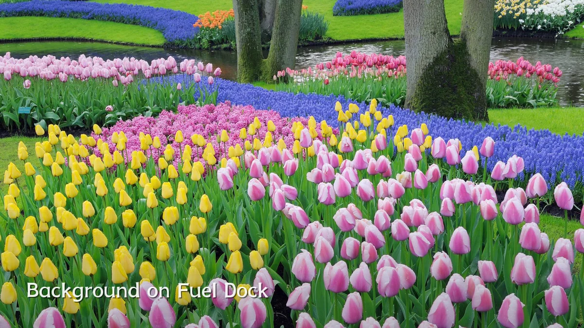 Background on Fuel Dock