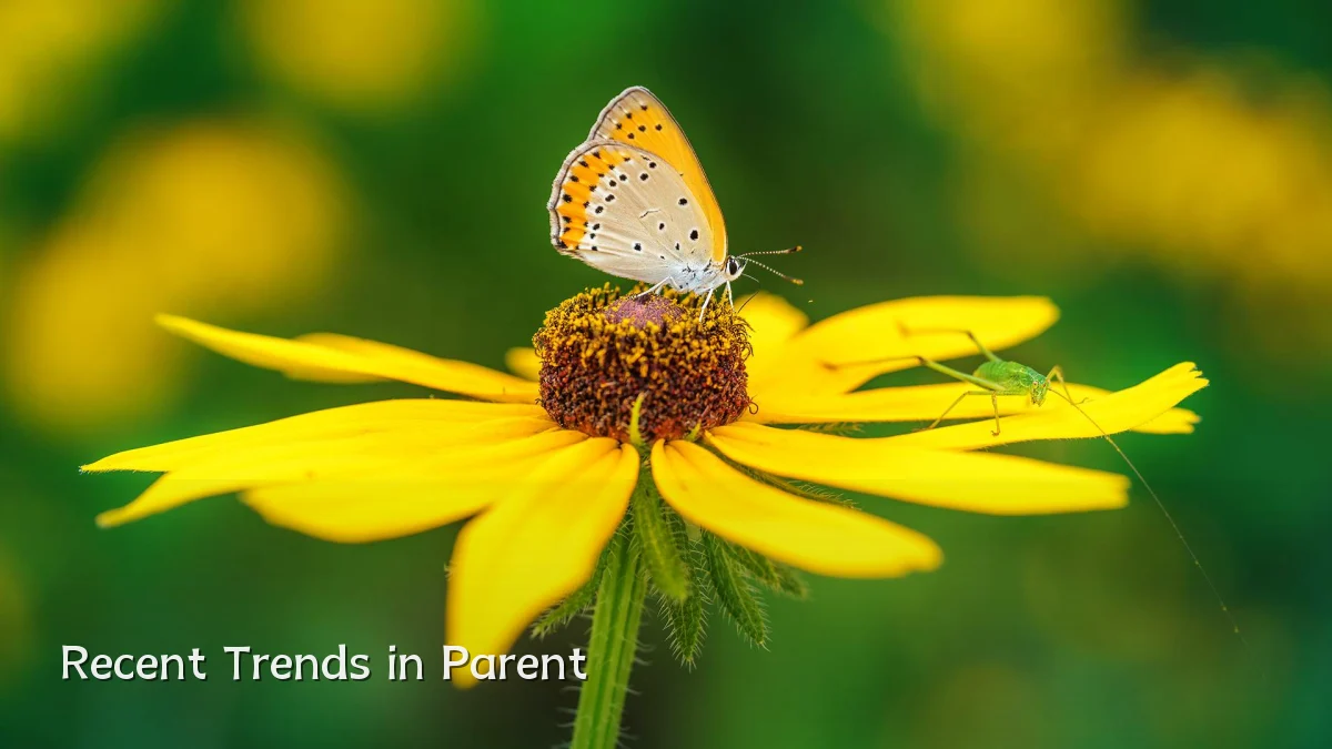 Recent Trends in Parent
