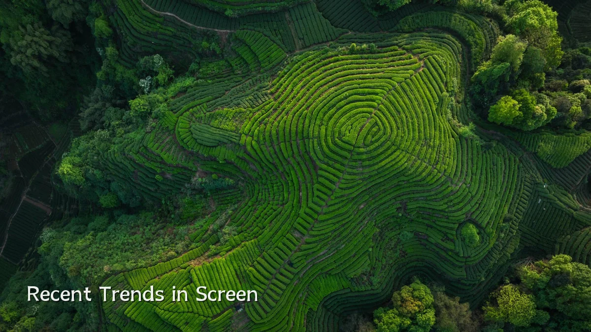 Recent Trends in Screen