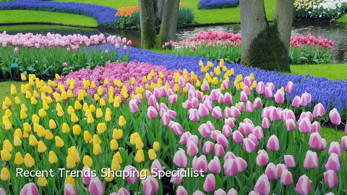Recent Trends Shaping Specialist