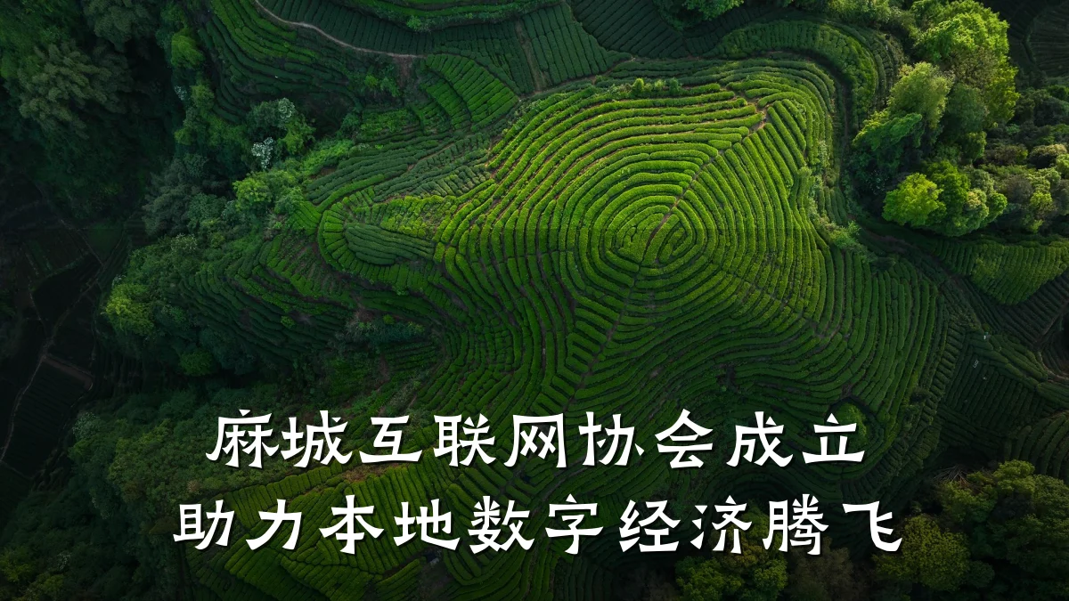 麻城互联网协会成立 助力本地数字经济腾飞