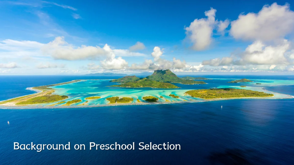 Background on Preschool Selection