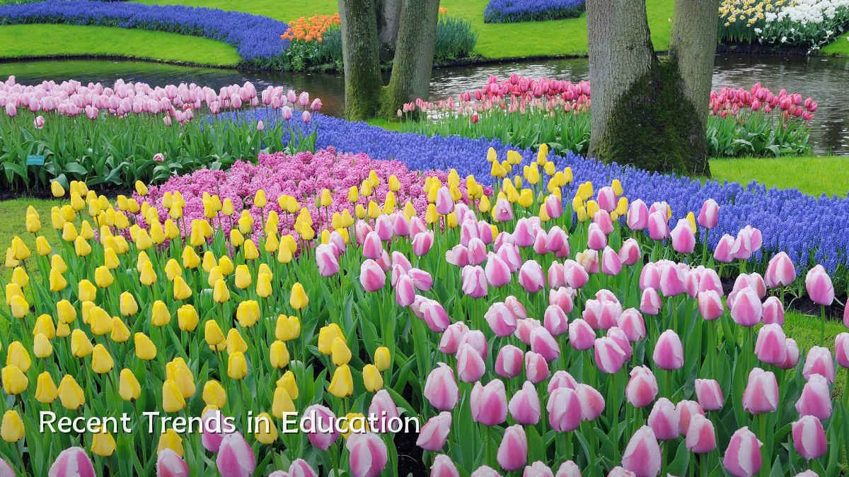 Recent Trends in Education