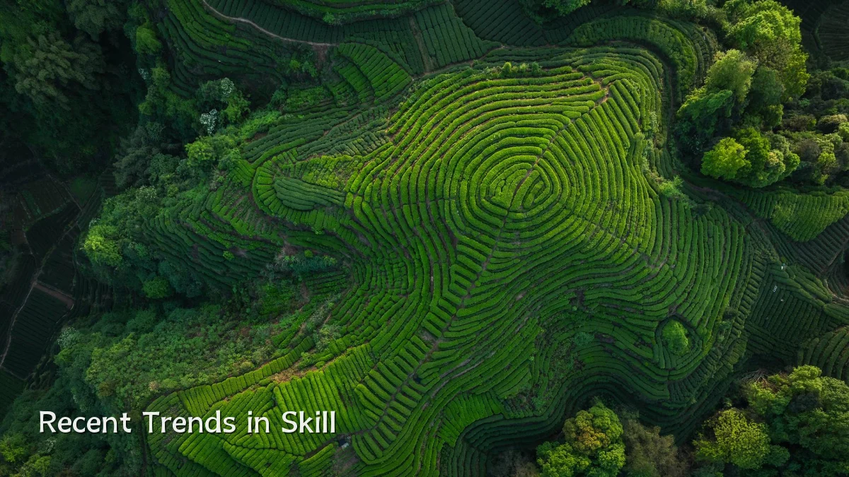 Recent Trends in Skill