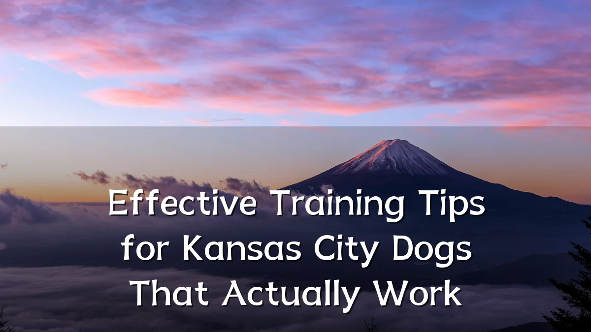 Effective Training Tips for Kansas City Dogs That Actually Work