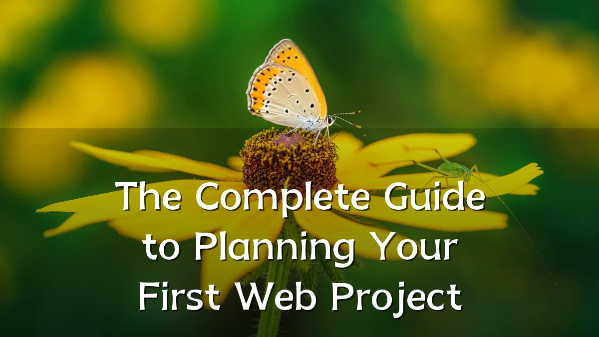 The Complete Guide to Planning Your First Web Project