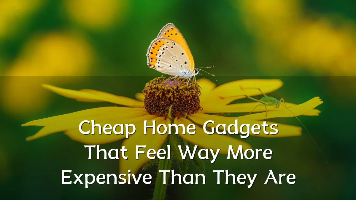 Cheap Home Gadgets That Feel Way More Expensive Than They Are